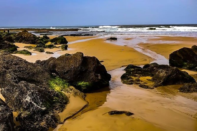 Wild and Wonderful West Coast Full Day Tour - Pontal da Carrapateira: sand dunes that feel like their own world