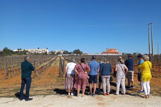 Wine Lovers: Winery Tour w/ Tasting & Tapas (Albufeira/Vilamoura) - Off-road tracks and scenic driving: the “Albufeira views” part