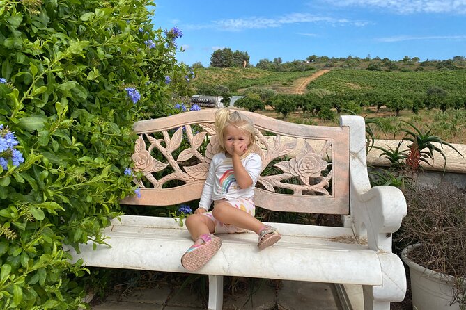 Wine Not Algarve Winery Tour - Lunch and drinks: what the included picnic setup really means