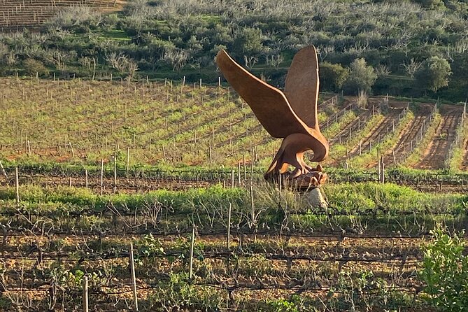 Wine Not Algarve Winery Tour - Price and value for $84.02 in Lagos