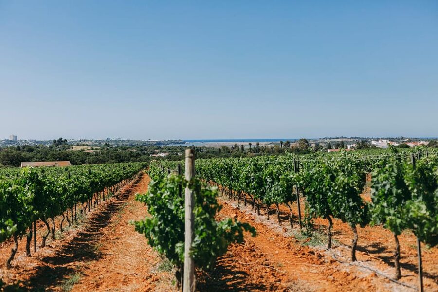Wine Tasting Off-Road Tour - Barragem da Bravura Off-Road Adventure: Built for Thrills, Not Just Photos