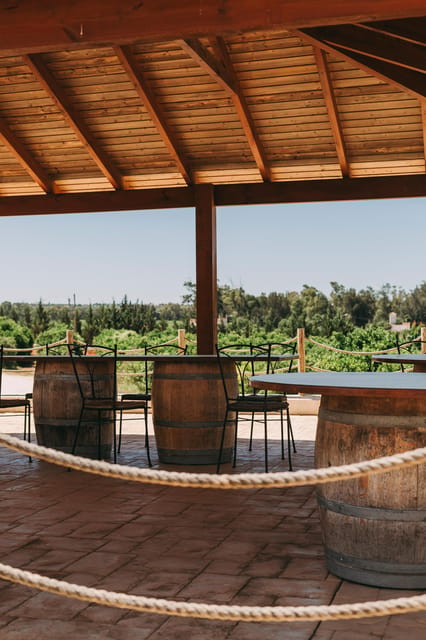Wine Tasting Off-Road Tour - The 30-Minute Visit and 15-Minute Walk: Short, But With Real Purpose