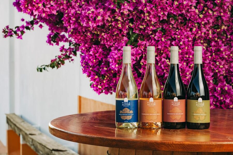 Wine Tasting Off-Road Tour - Price and Value at $93: What You Are Really Paying For
