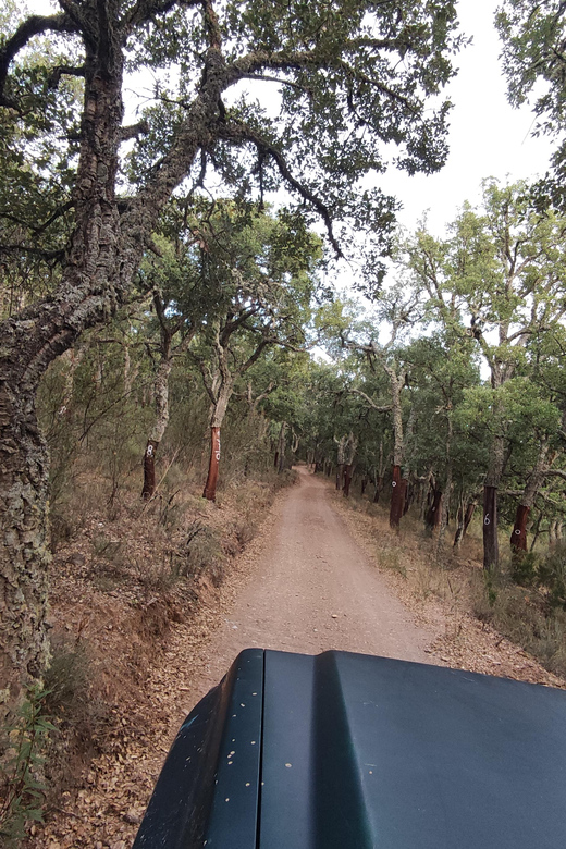 Wine Tasting Off-Road Tour - Who This Tour Suits Best