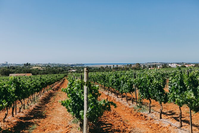Wine Tasting & Tapas 4x4 Tours - 4x4 Wine Tasting With Pickup From Sagres To Lagos