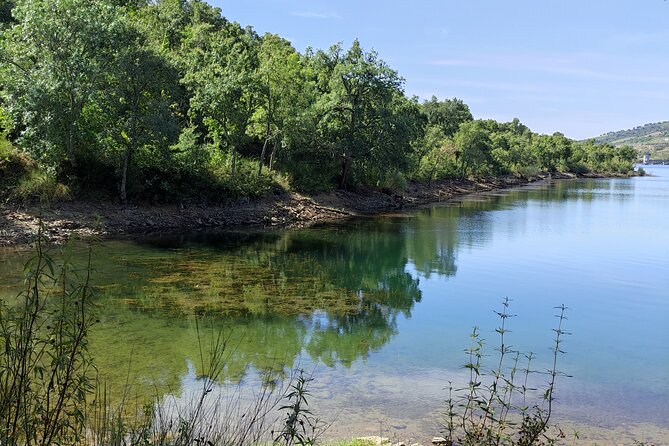 Wine Tasting & Tapas 4x4 Tours - Stop 1: Barragem da Bravura and the Off-Road Nature Break