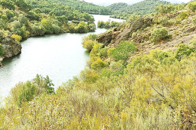 Wine Tasting & Tapas 4x4 Tours - Practical Tips for a Smoother Ride