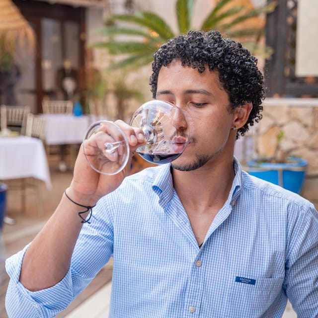 WINE TASTING & TAPAS IN THE HEART OF FARO - Four Tapas Stops in Central Faro: Classics Plus Modern Interpretations
