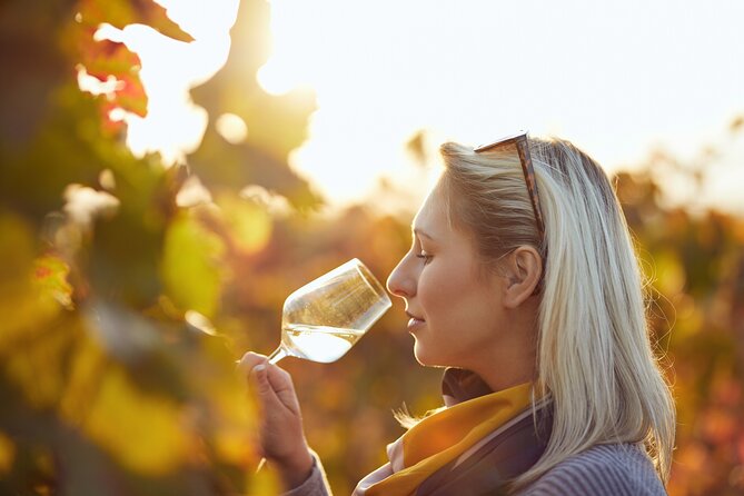 Wine Tasting Tour in Algarve Winery - Price and value: what $78.27 buys you in a private tasting
