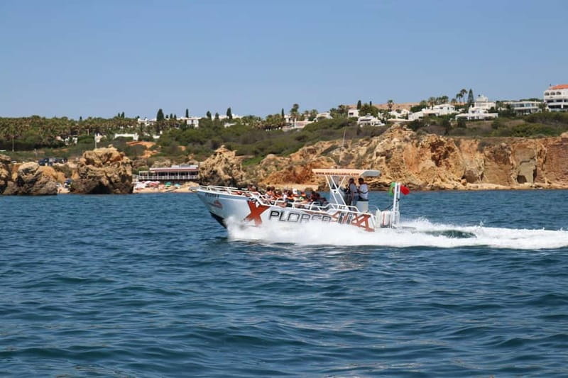 X Plorer – Caves (Benagil) & Dolphins Cruise - The Big Idea: Caves and Dolphins, in 2.5 Hours
