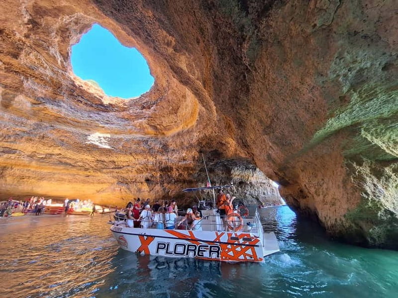 X Plorer – Caves (Benagil) & Dolphins Cruise - Dolphins Offshore: The Thrill, the Honesty, and Your Best Chances