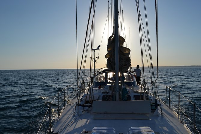 Yatch FINISMAR: 6 hours cruise with Beach BBQ (14passengers) - Who should book the FINISMAR BBQ cruise, and who should skip it