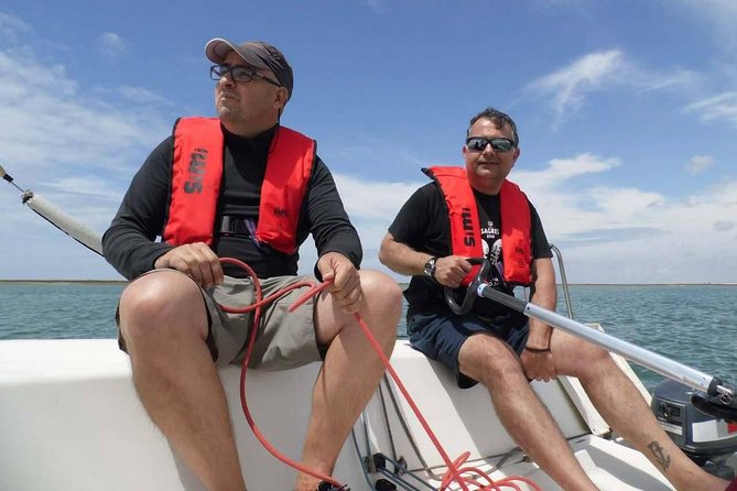 Your first experience Sailing - Private Trip in Ria Formosa - Wildlife odds and the best way to maximize them